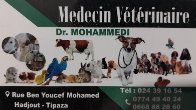  MOHAMMEDI