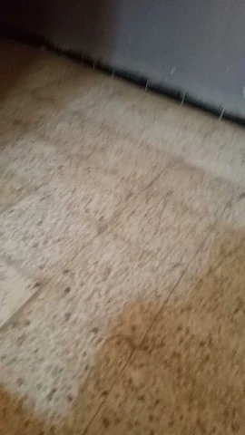 AF1QipM15o6ix_wgD3IRgvirPXkQb3qMlTFdDkWQ2P5Yw1920-h1080-k-no.webp