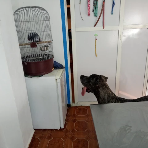 AF1QipMZtK4ixzMdBexFEX5i4zZuOV5tXmJovW2_NDYdw1920-h1080-k-no.webp
