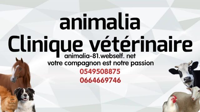 AF1QipNZkgHnxDbadxpHhO0TMoDNbk7e_lIznjo73joNw1920-h1080-k-no.webp
