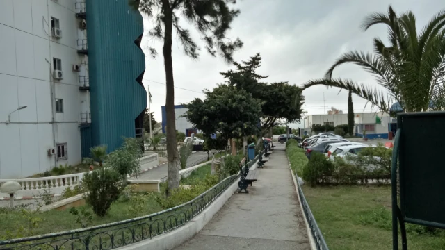 AF1QipNr3dogC5DXaCIdbfWLuhwyxtpbg5tTeGzHLE5Dw1920-h1080-k-no.webp