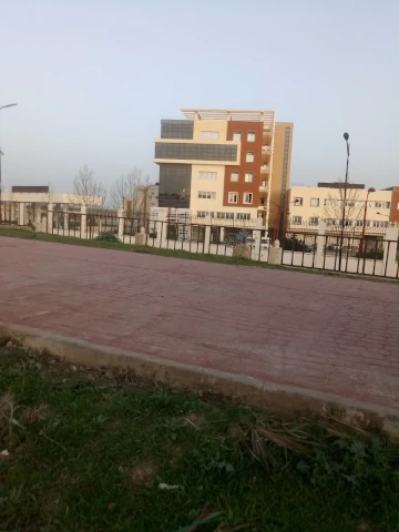 AF1QipO7eAXOWWNrbPrAVfIui9N7etSUCOBnQMs_5KNtw1920-h1080-k-no.webp