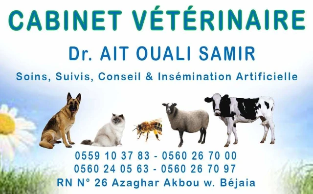 AF1QipOfQnX1ClNTE-X6qO6bZ84OT5yGVFePuq3tAs4ow1920-h1080-k-no.webp