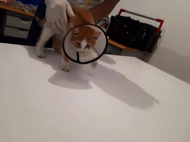 AF1QipPRS69TJ2ScifNDRbYOgJlvFRpV_ji54JvnBY4Tw1920-h1080-k-no.webp