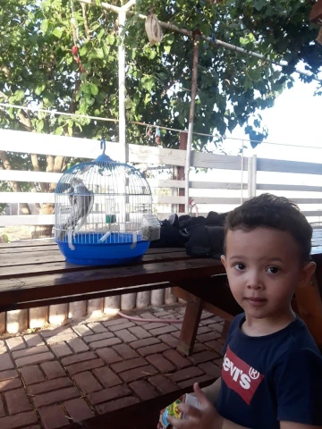 AF1QipPbbeA9G63UInhBgBssDZzCCKQZotvMLd7VXLaNw1920-h1080-k-no.webp