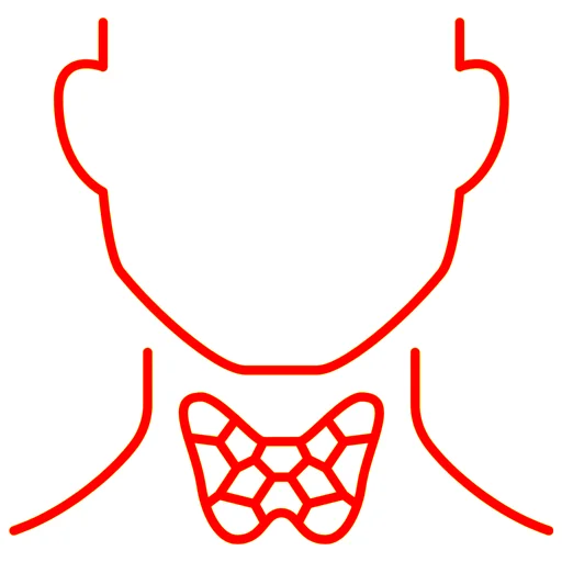 Endocrinologie.webp