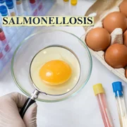 Salmonellose