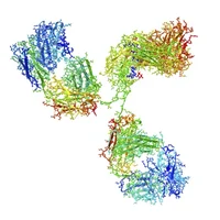 Gammapathie monoclonale  