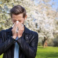 Allergies mineures