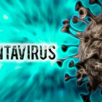 Infection à hantavirus